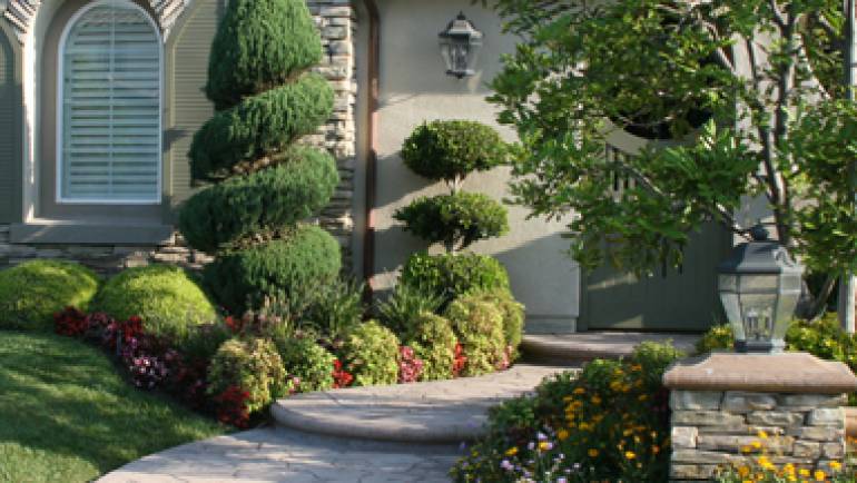 Beautiful Design Ideas