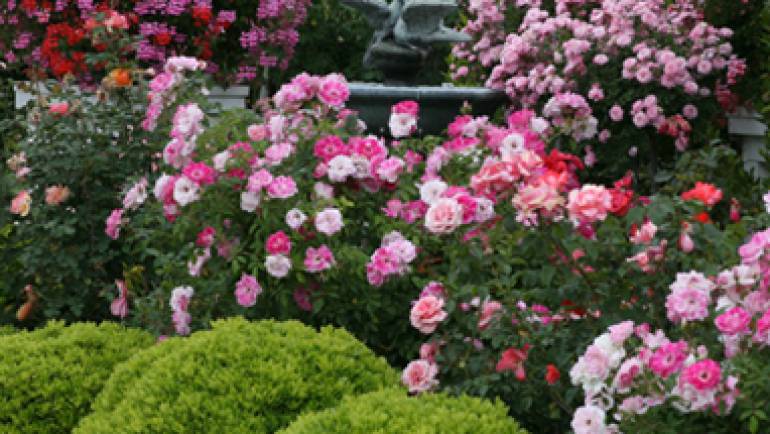 Beautiful Floral Design Ideas