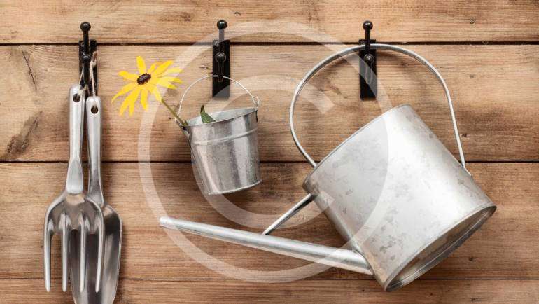 Simple Ways to Keep Your Garden Healthy