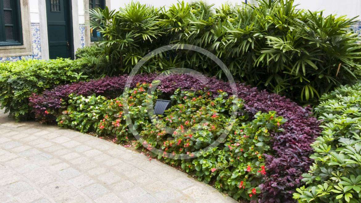 Greet Guests with Flowers