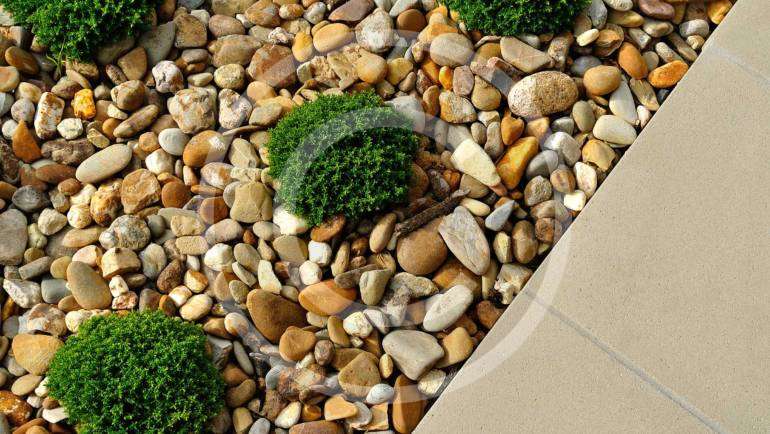Backyard Landscaping Trends of 2015 Year